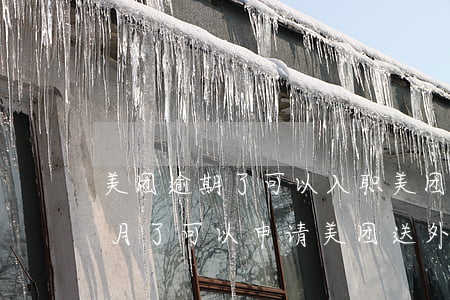 美团逾期了可以入职美团吗(在美团逾期几个月了,可以申请美团送外卖吗)