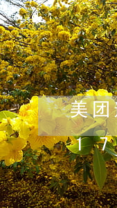 美团逾期了短信通知我去法院开庭 美团欠款17000逾期4个月发短信说进去开庭
