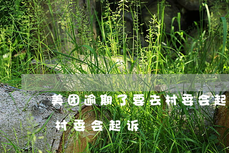 美团逾期了要去村委会起诉(美团逾期了要去村委会起诉)