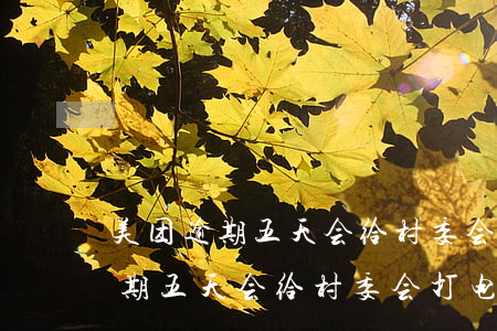 美团逾期五天会给村委会打电话吗-美团逾期五天会给村委会打电话吗是真的吗