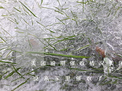美团逾期催收情况(美团逾期半年了刚打电话说来家里催收了)