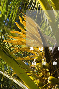 美团逾期几百块说的是会开庭是真的吗-美团逾期几百块说的是会开庭是真的吗吗
