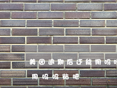 美团逾期后还能用吗吗贴吧(美团逾期后还能用吗吗贴吧)