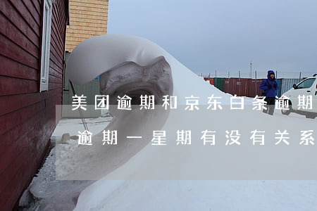 美团逾期和京东白条逾期哪个严重(京东白条逾期一星期,有没有关系)