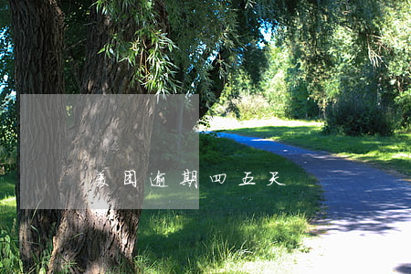 美团逾期四五天