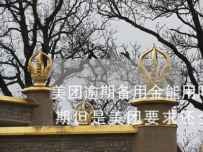 美团逾期备用金能用吗吗(美团逾期后还了逾期,但是美团要求还全部贷款,合理吗?)