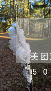 美团逾期少还一点钱会怎么样 美团欠钱3250逾期一个多月要还多少?