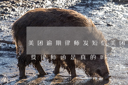 美团逾期律师发短信(美团逾期4天打电话说要律师函是真的吗)