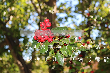美团逾期换了几个电话号都能找到-美团逾期换了几个电话号都能找到吗