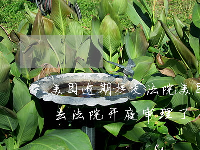 美团逾期提交法院 美团生活费逾期半个月要去法院开庭审理了