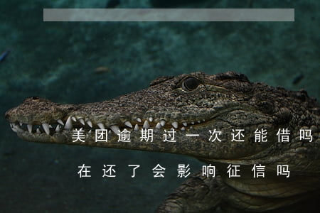 美团逾期过一次还能借吗(美团逾期了几天,现在还了,会影响征信吗)