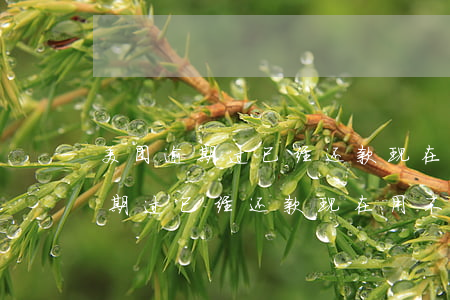 美团逾期过已经还款现在用不起了-美团逾期过已经还款现在用不起了怎么办