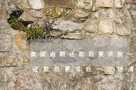美团逾期还款后要求我一次结清-美团逾期还款后要求我一次结清怎么办