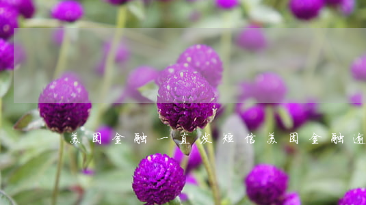 美团金融一直发短信（美团金融逾期发短信）