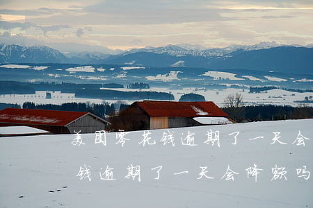 美团零花钱逾期了一天会降额吗-美团零花钱逾期了一天会降额吗怎么办