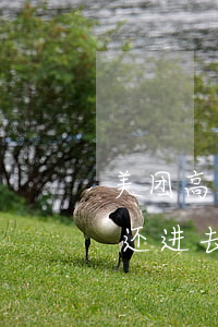 美团高额欠款逾期了会怎么样(美团有逾期说还进去可以给额度是不是真的)