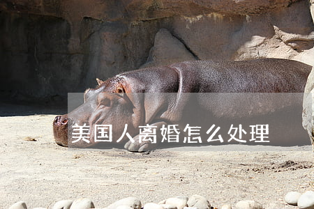 美国人离婚怎么处理