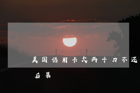 美国信用卡欠两千刀不还(美国欠信用卡没还后果)