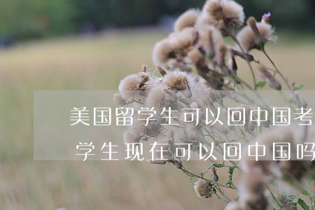 美国留学生可以回中国考法律吗(在美国的留学生现在可以回中国吗)