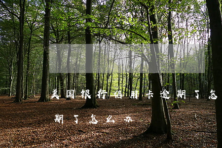 美国银行信用卡逾期了怎么办 美国银行卡到期了怎么办