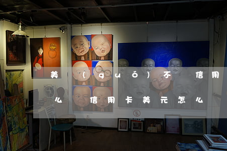 美國(guó)不還信用卡會(huì)怎么樣(信用卡美元怎么還)