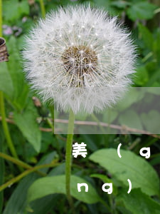 美國(guó)人離婚要給妻子贍養(yǎng)費(fèi)嗎(美國(guó)人離婚后要給妻子付多久贍養(yǎng)費(fèi))