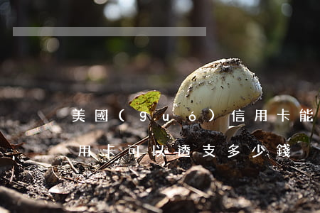 美國(guó)信用卡能透支多少錢(銀行信用卡可以透支多少錢)