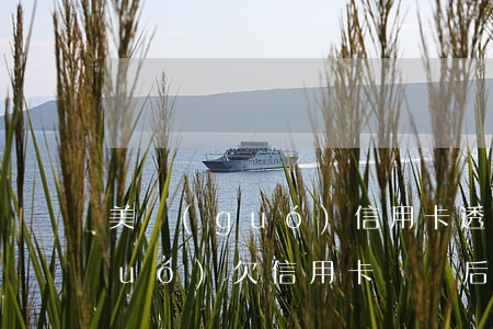美國(guó)信用卡透支還不上(美國(guó)欠信用卡沒還后果)