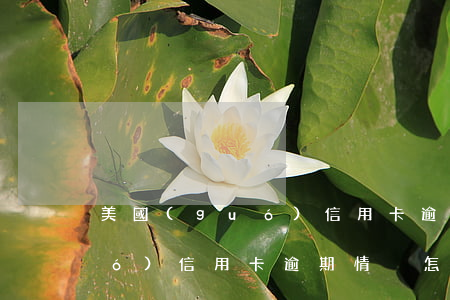美國(guó)信用卡逾期情況(美國(guó)信用卡逾期情況怎么樣)