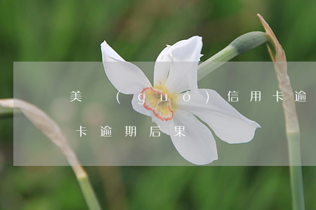 美國(guó)信用卡逾期罰金(加拿大信用卡逾期后果)