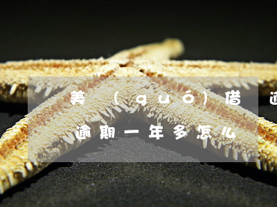 美國(guó)借唄逾期一年了怎么辦(借唄逾期一年多怎么辦)