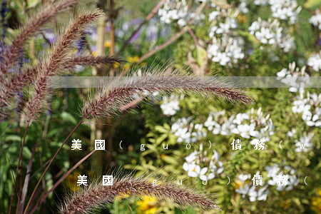 美國(guó)債務(wù)逾期還差幾天 美國(guó)債務(wù)什么時(shí)候還
