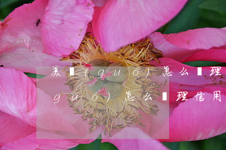 美國(guó)怎么處理信用卡逾期 美國(guó)怎么處理信用卡逾期