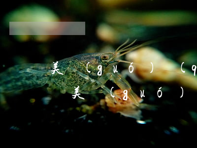 美國(guó)請(qǐng)律師要多少錢(美國(guó)辦理離婚律師費(fèi))