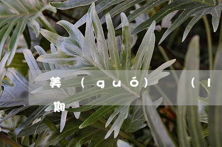 美國(guó)銀聯(lián)信用卡逾期