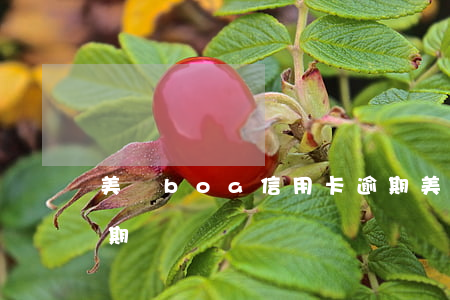 美國boa信用卡逾期(美國boa信用卡逾期)