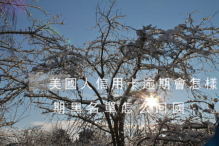 美國人信用卡逾期會怎樣(人在國外信用卡逾期黑名單怎么回國)