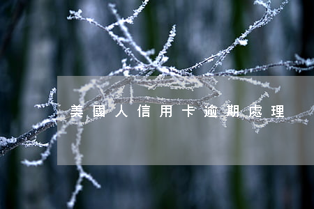 美國人信用卡逾期處理