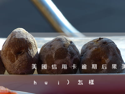 美國信用卡逾期后果(美國的信用卡不還會(huì)怎樣)