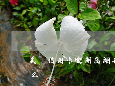 美國信用卡逾期高潮 在美國信用卡逾期會怎么樣