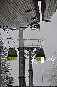 美國停車逾期未交(美國停車問題)