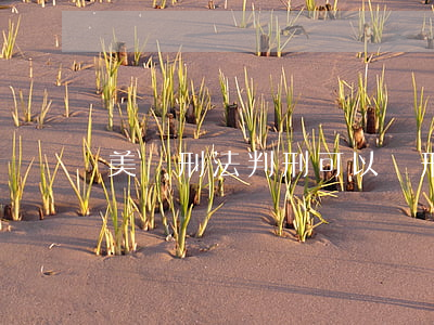 美國刑法判刑可以緩刑嗎(美國有緩刑嗎)