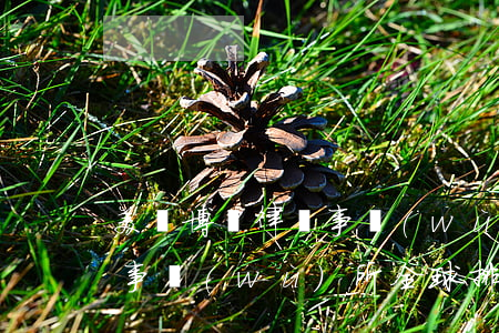 美國博欽律師事務(wù)所(美國博欽律師事務(wù)所全球排名)