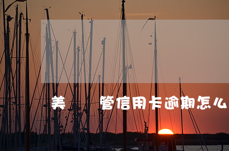 美國嚴管信用卡逾期怎么處理