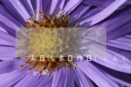 美國夫妻離婚財(cái)產(chǎn)分配