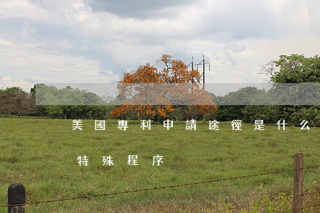 美國專利申請途徑是什么,美國專利申請中的特殊程序