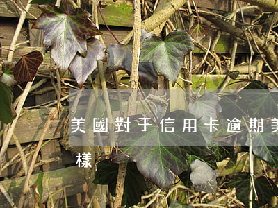 美國對于信用卡逾期(美國的信用卡不還會怎樣)