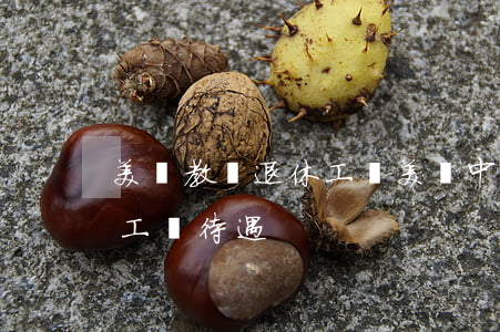 美國教師退休工資(美國中學(xué)教師工資待遇)