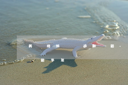 美國旅游簽證逾期滯留-美國旅游簽證逾期滯留半年