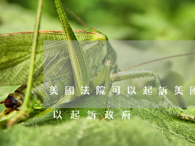 美國法院可以起訴美國政府嗎(為什么美國可以起訴政府)